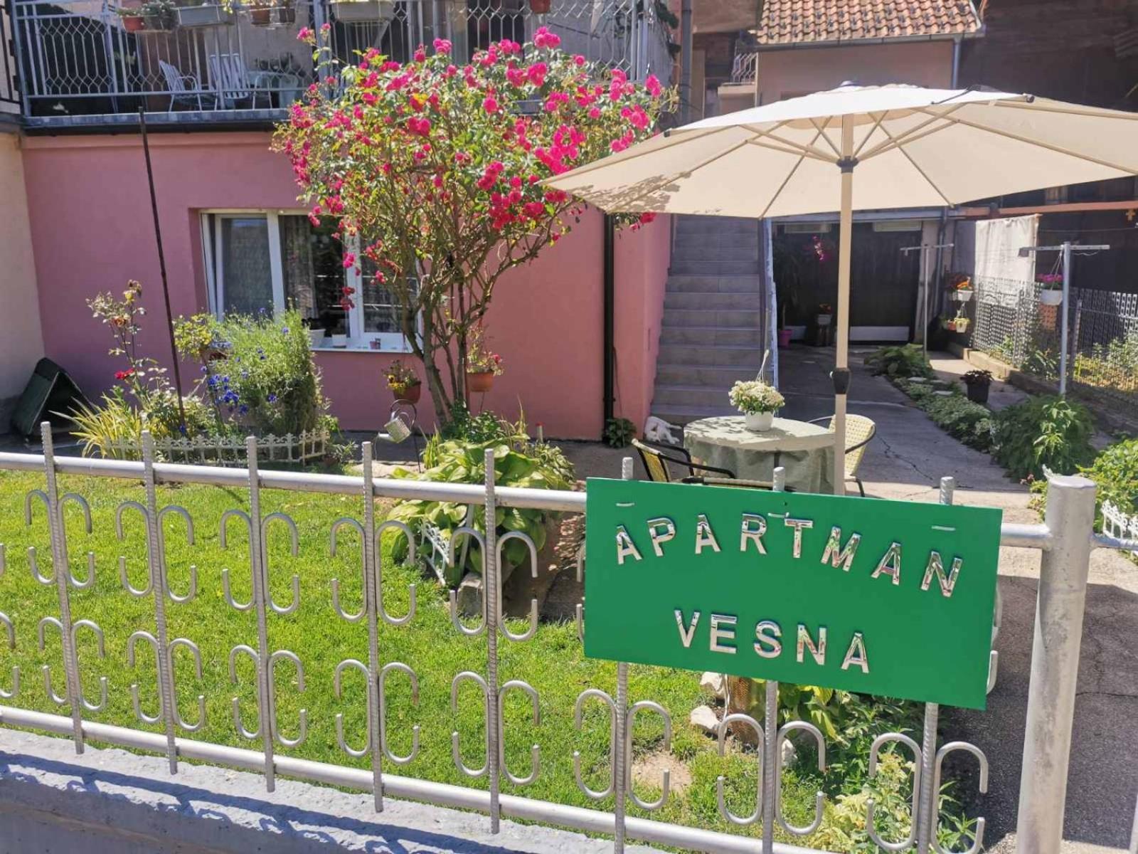Apartman Vesna Ovcar Banja Exterior foto
