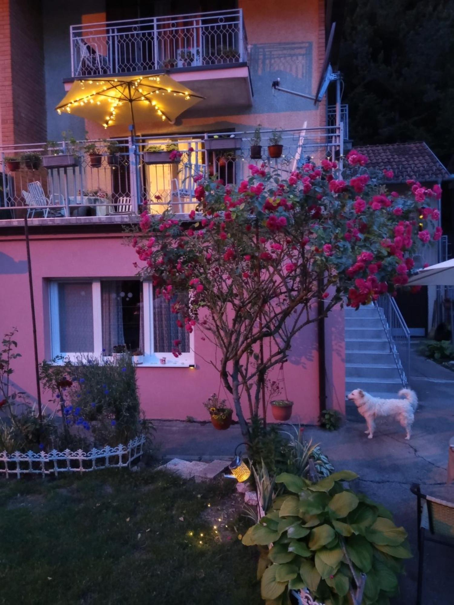 Apartman Vesna Ovcar Banja Exterior foto